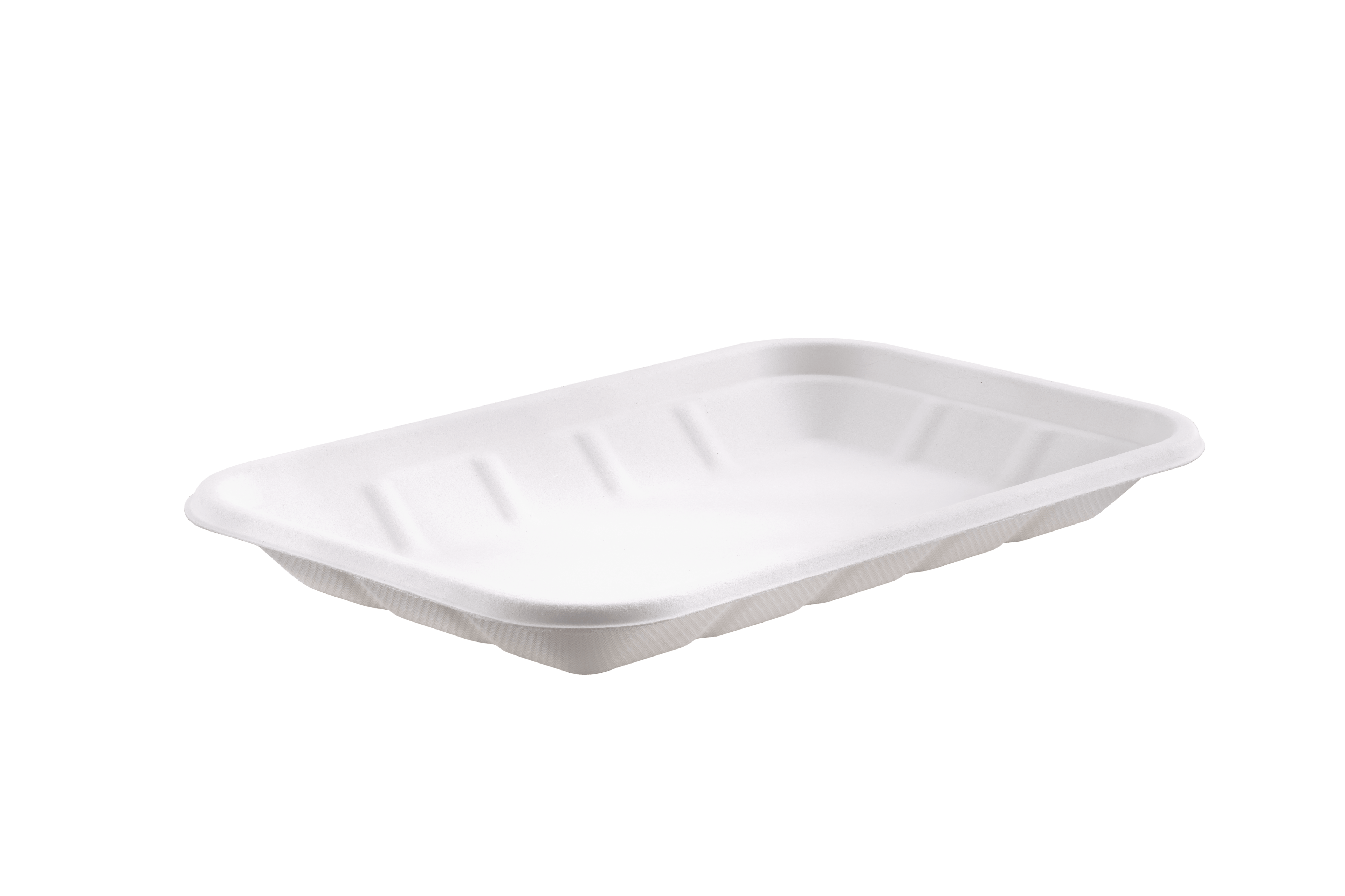 2D Bagasse Tray