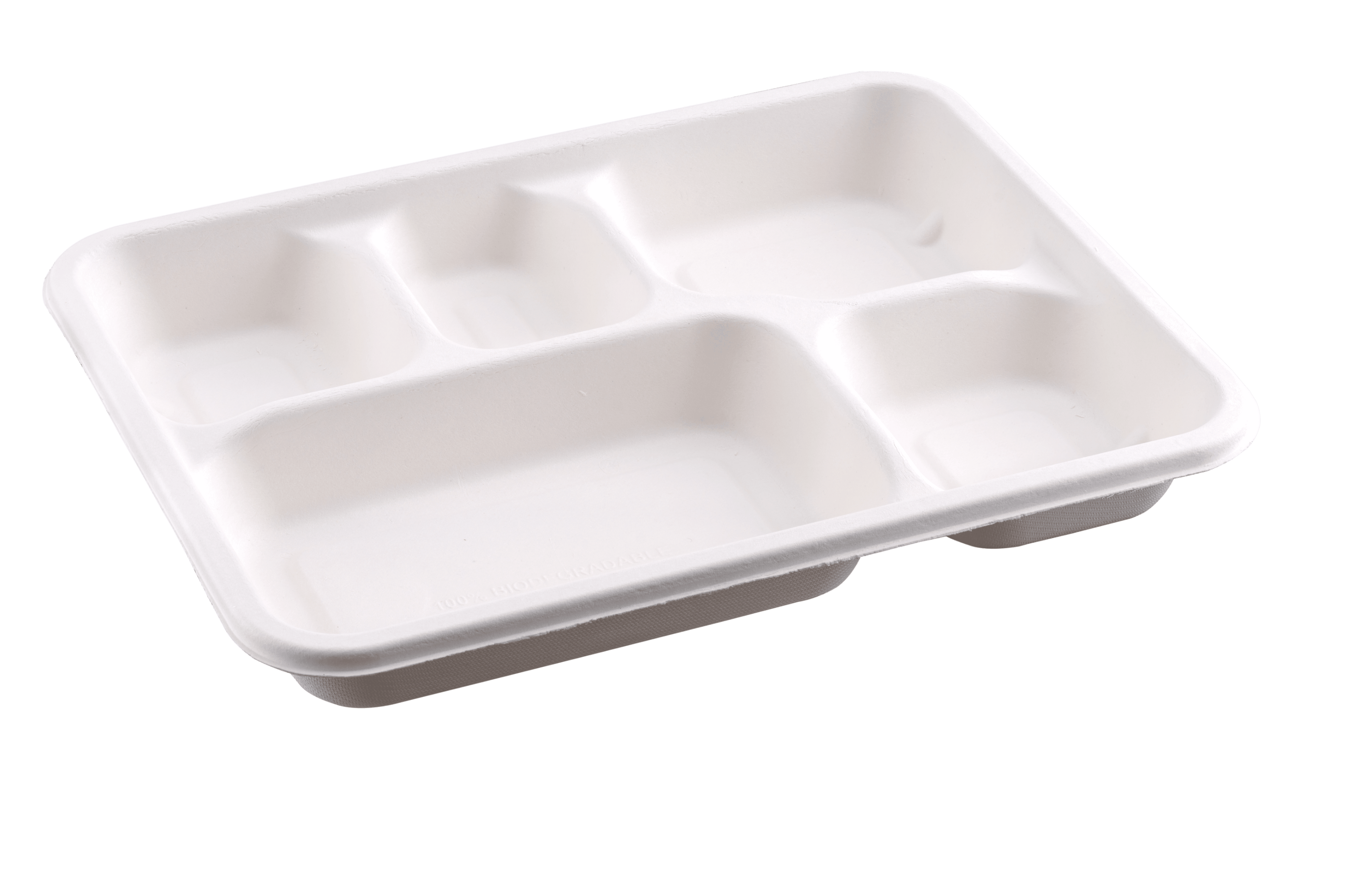 5Cp Bagasse Tray (500)