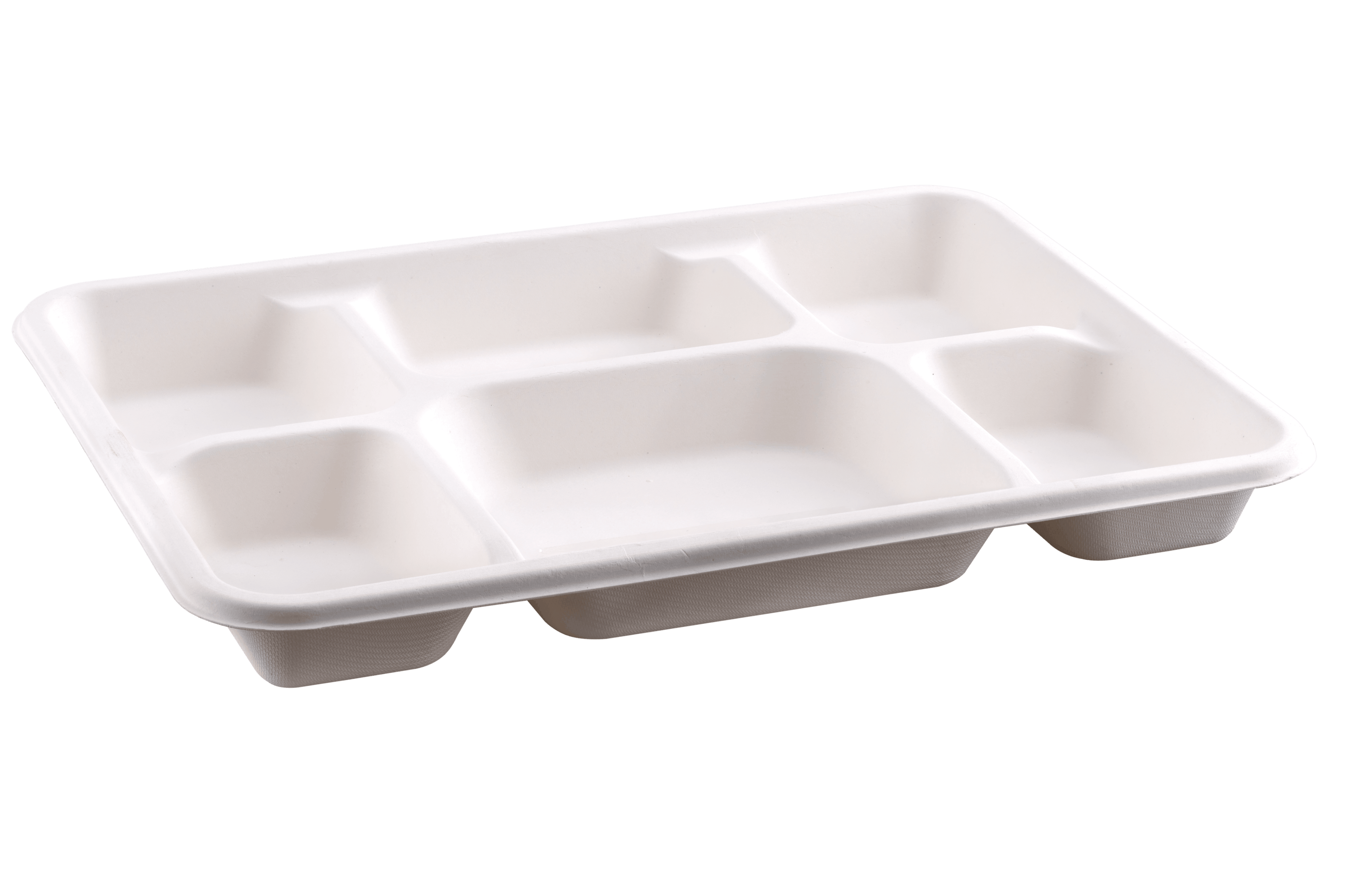 6Cp Bagasse Tray (250)