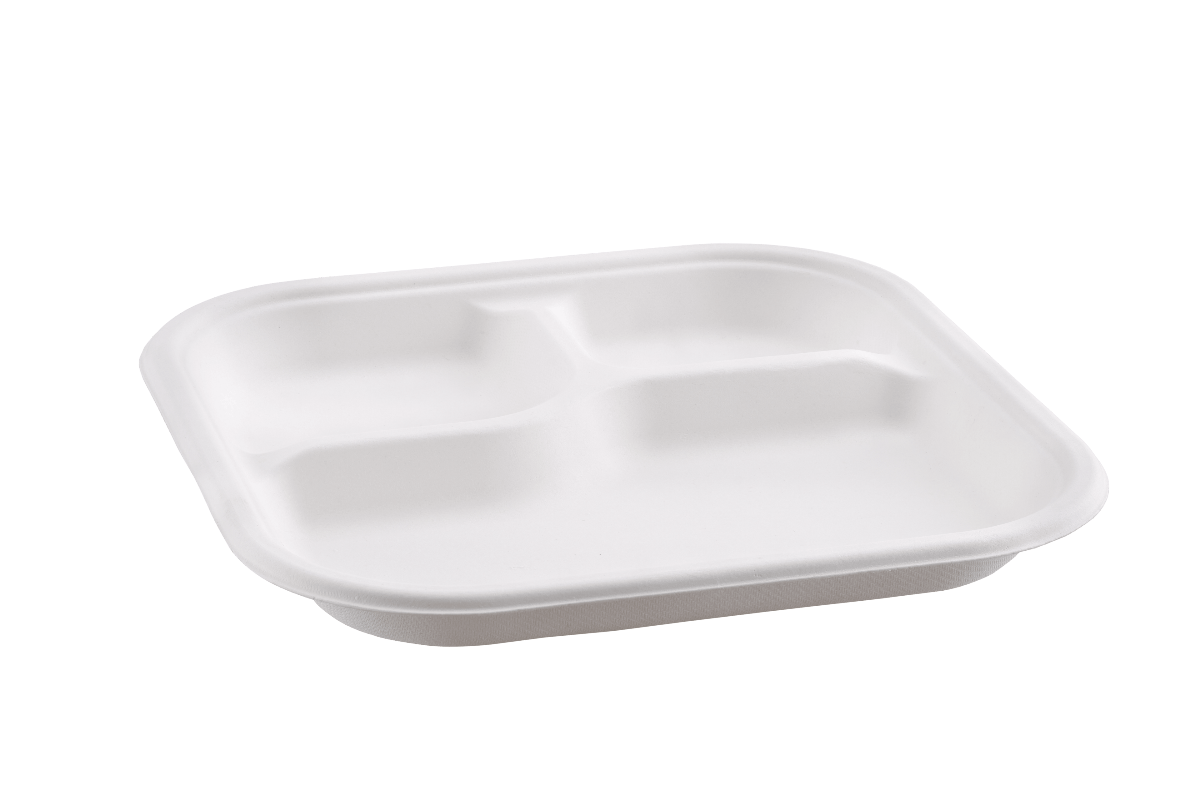 9 Inch 3-Compartment Bagasse Plate