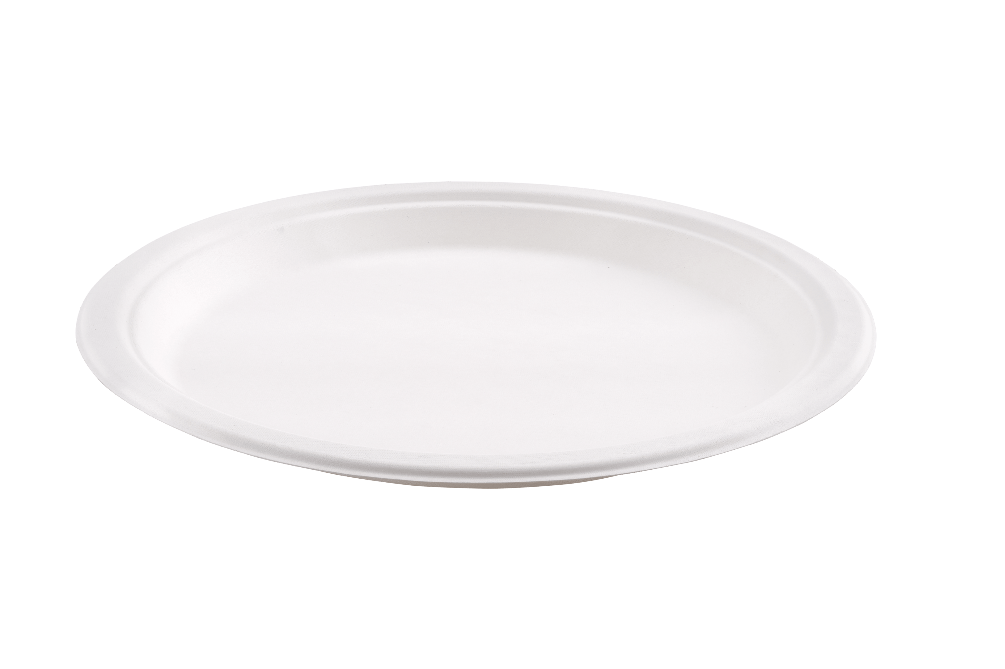 12 Inch Plain Bagasse Plate